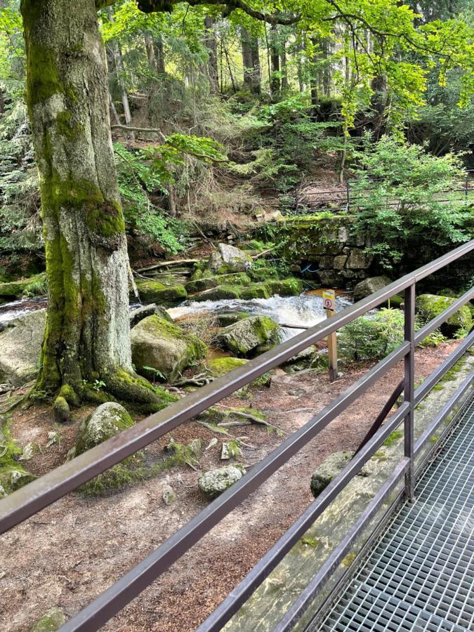 Dom Gorski Do Wynajecia 3 Km Od Karpacza Sudecka 100 Milkow  Bagian luar foto
